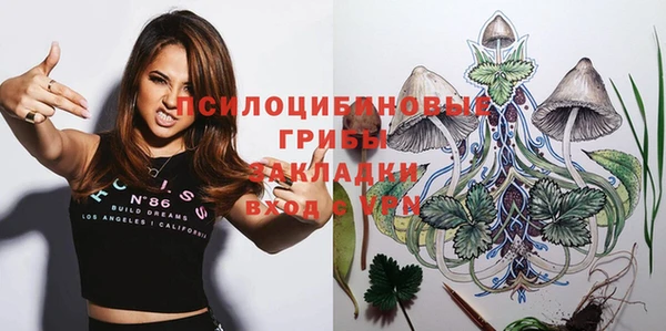 гидропоника Лагань